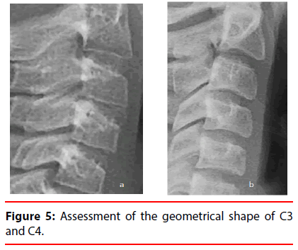 ijocs-Assessment