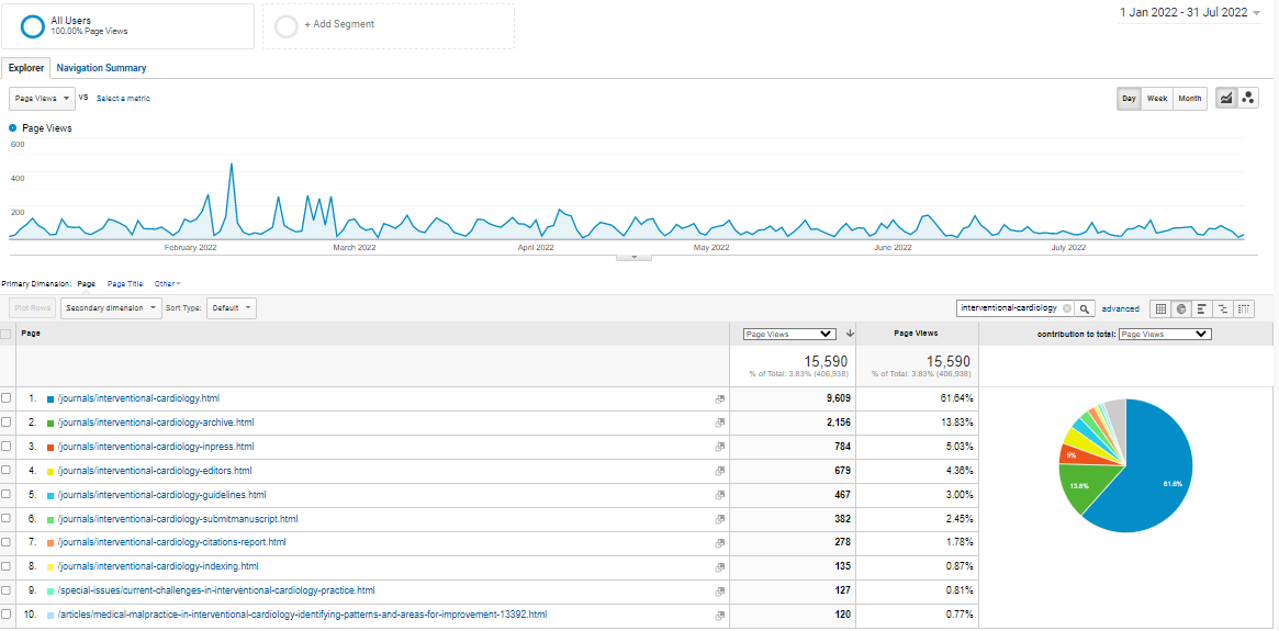 Visitor Analysis Report