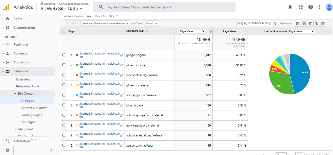 Visitor Analysis Report