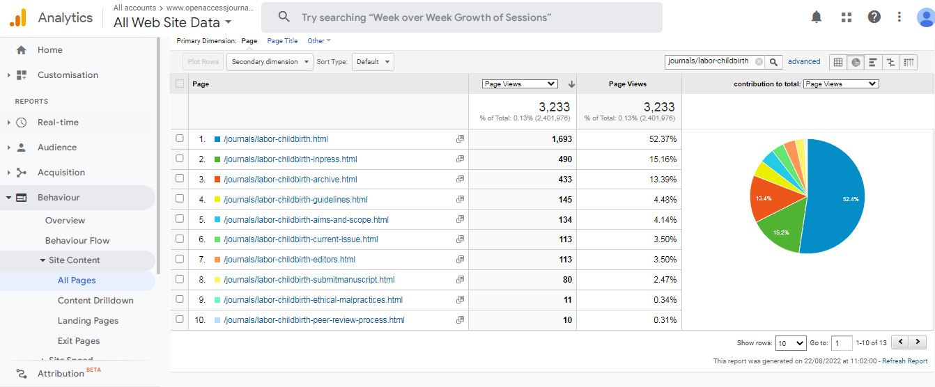 Visitor Analysis Report