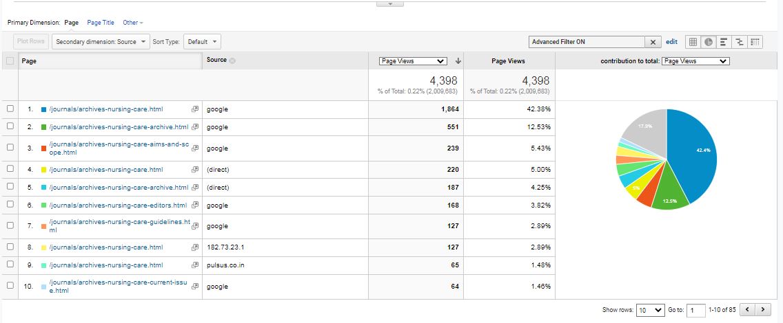 Visitor Analysis Report