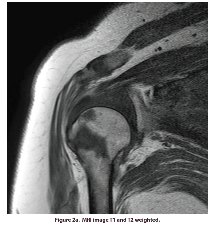 clinical-rheumatology-image