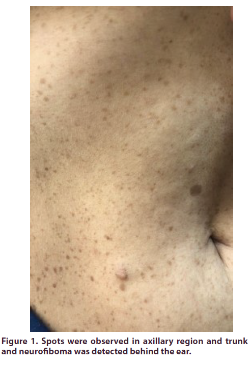 clinical-rheumatology-trunk