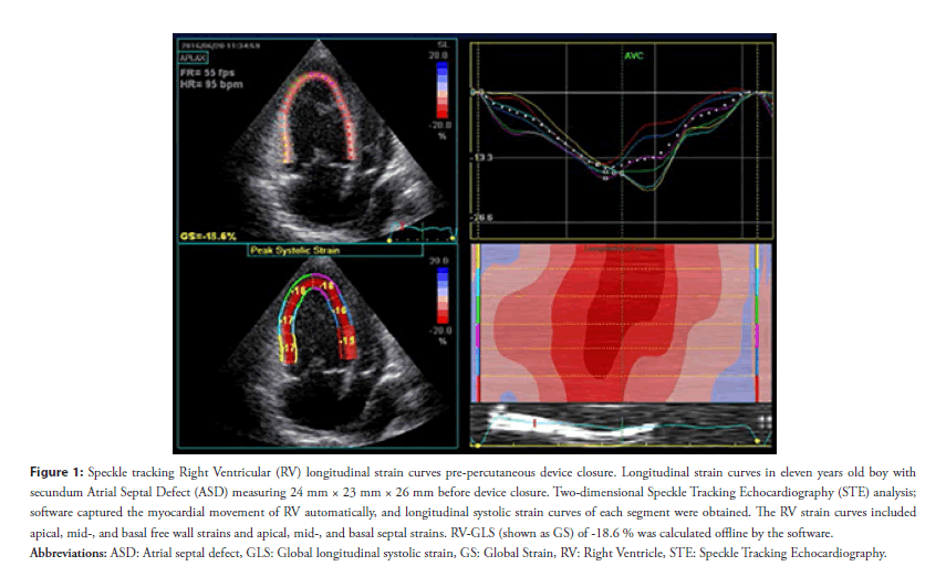 speckle tracking global longitudinal strain