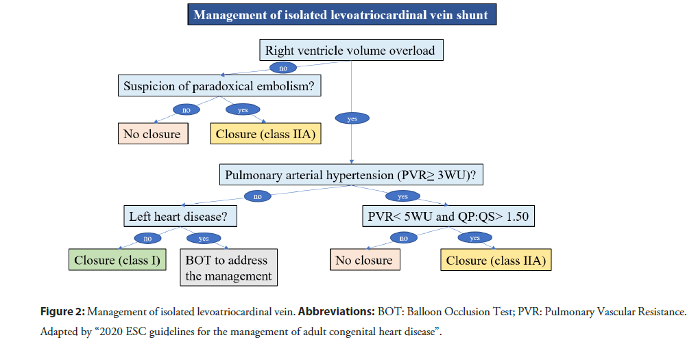 interventional-cardiology-congenital