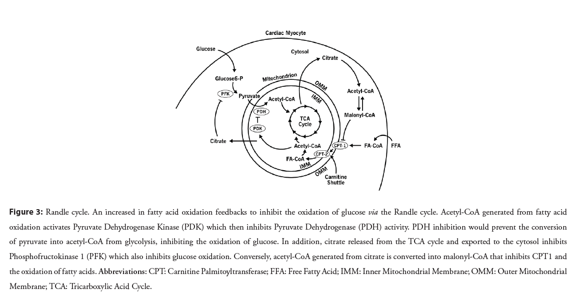 interventional-cardiology-glucose