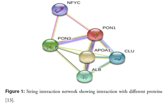 interventional-cardiology-interaction