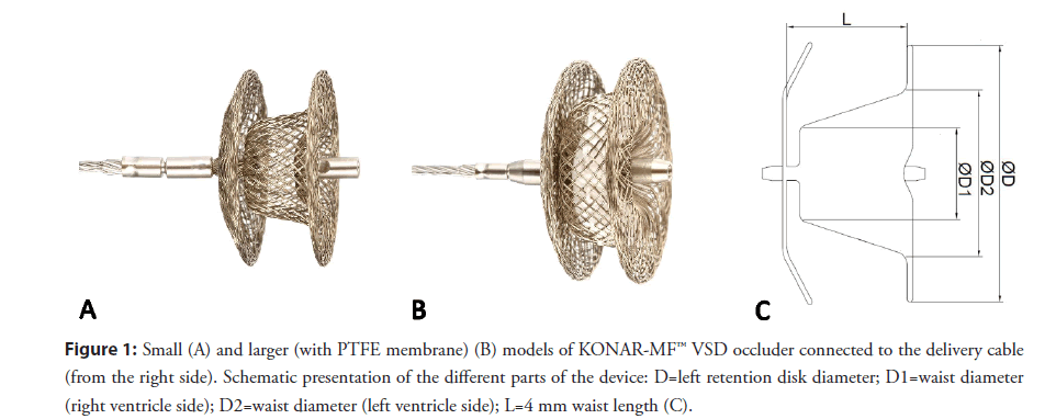 interventional-cardiology-membrane