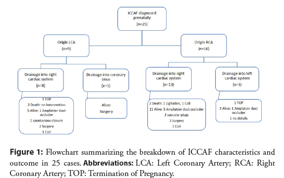 interventional-cardiology-summarizing