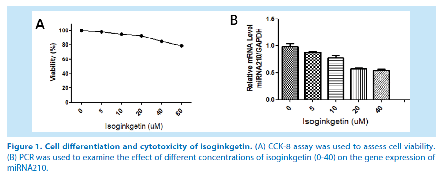 pharmaceutical-bioprocessing-cytotoxicity