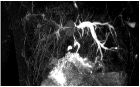 clinical-practice-MRI