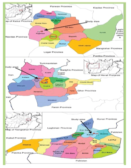 clinical-practice-areas