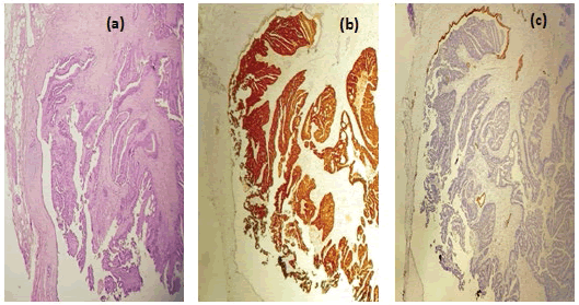 clinical-practice-colorectal