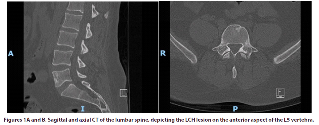 clinical-rheumatology-Sagittal