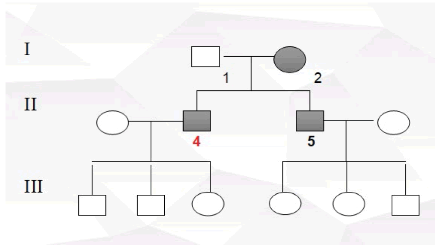 fmci-Pedigree