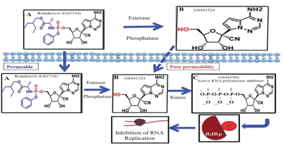 fmci-RNA