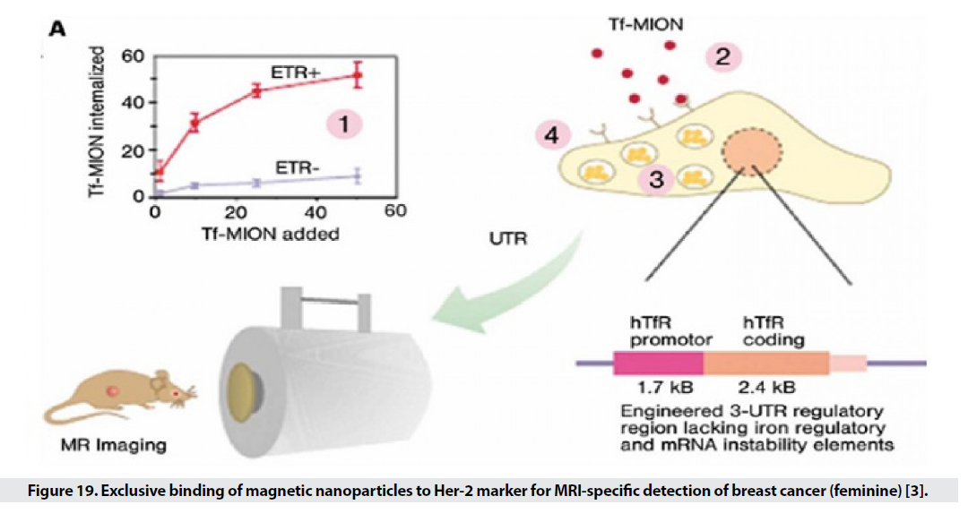 imaging-medicine-binding