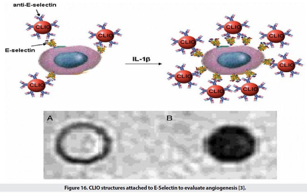 imaging-medicine-clio