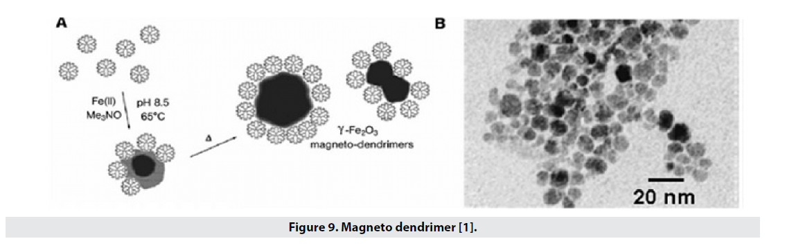 imaging-medicine-dendrimer