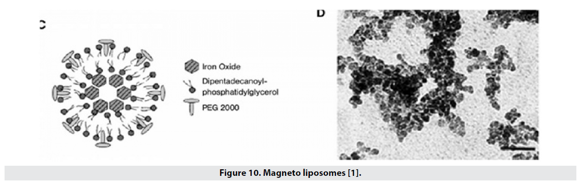 imaging-medicine-liposomes