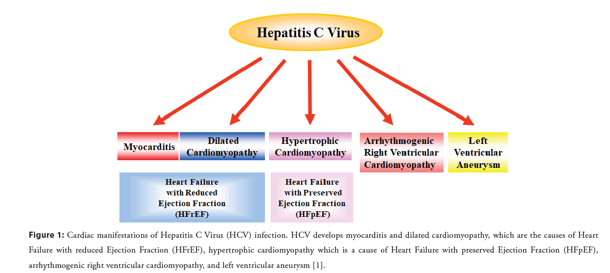 interventional-cardiology-myocarditis