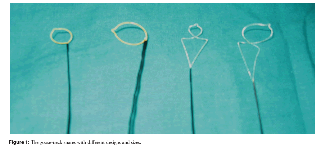 interventional-cardiology-snares