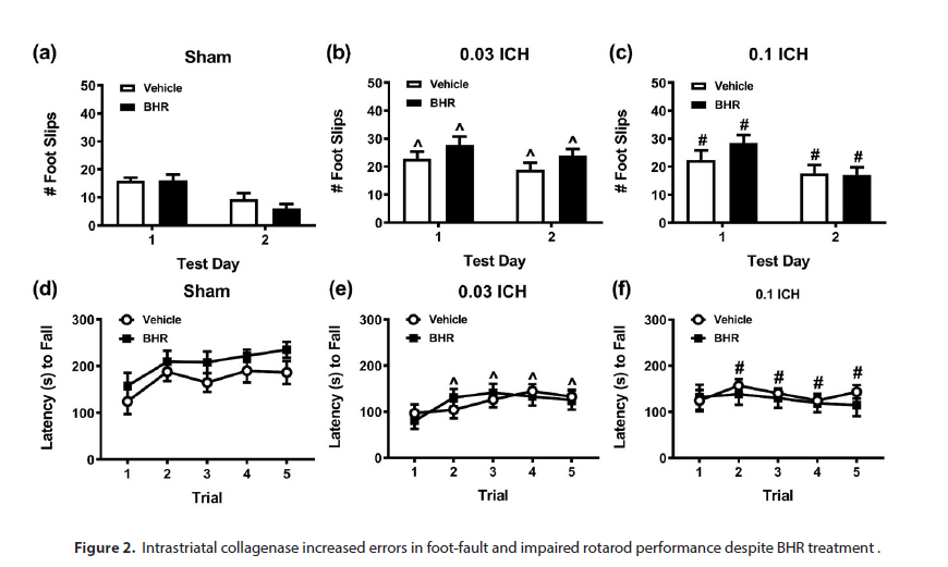 journal-experimental-collagenase