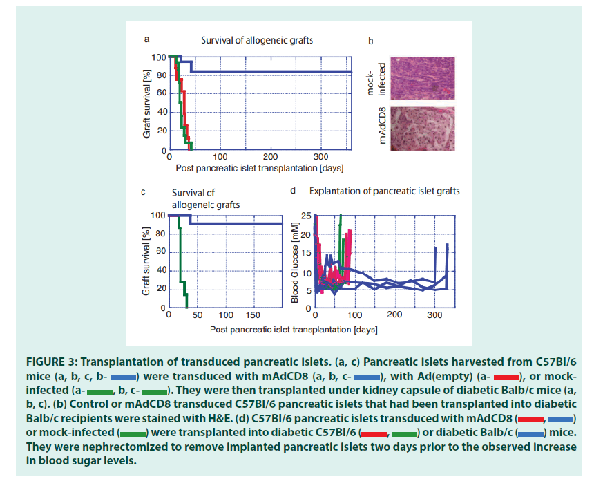 diabetes-management-transduced