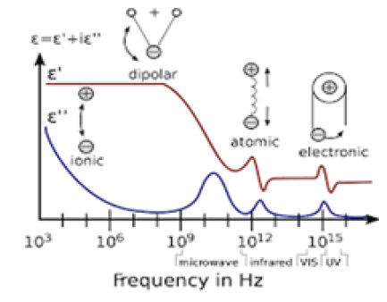 fmci-13-3-Frequency