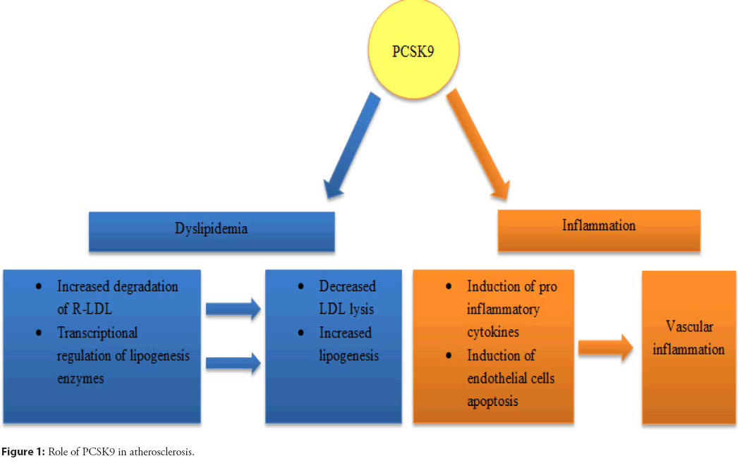 interventional-cardiology-atherosclerosis