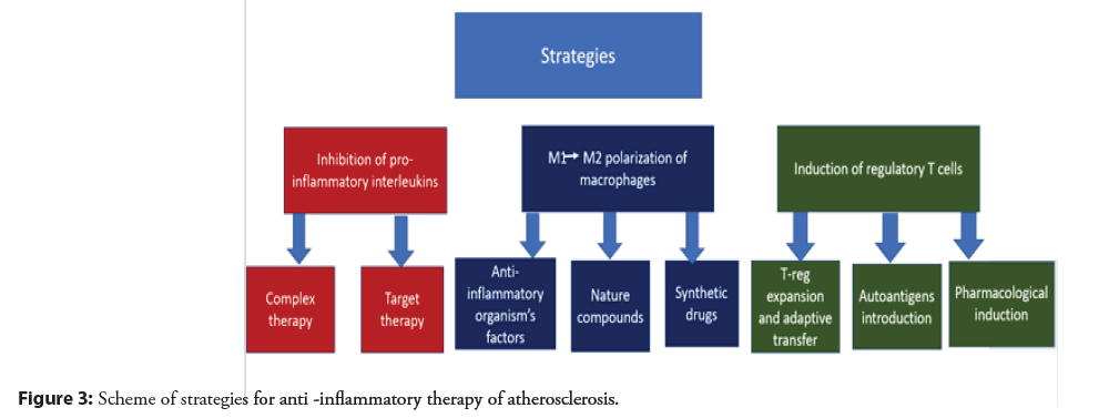 interventional-cardiology-atherosclerosis
