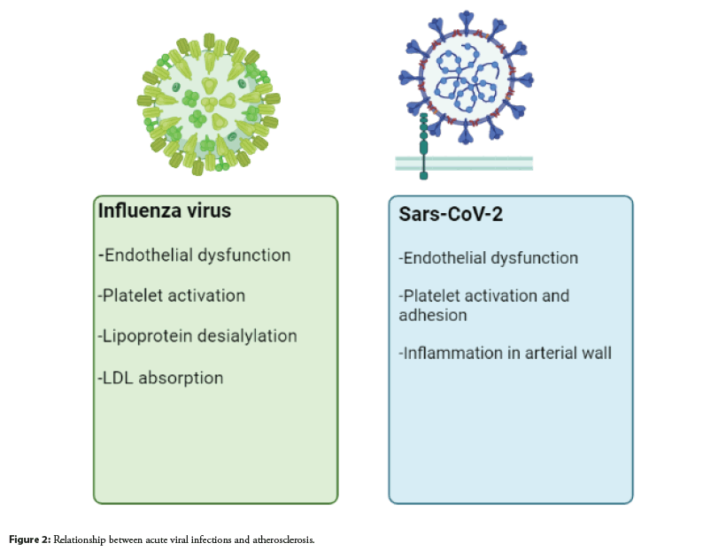 infections