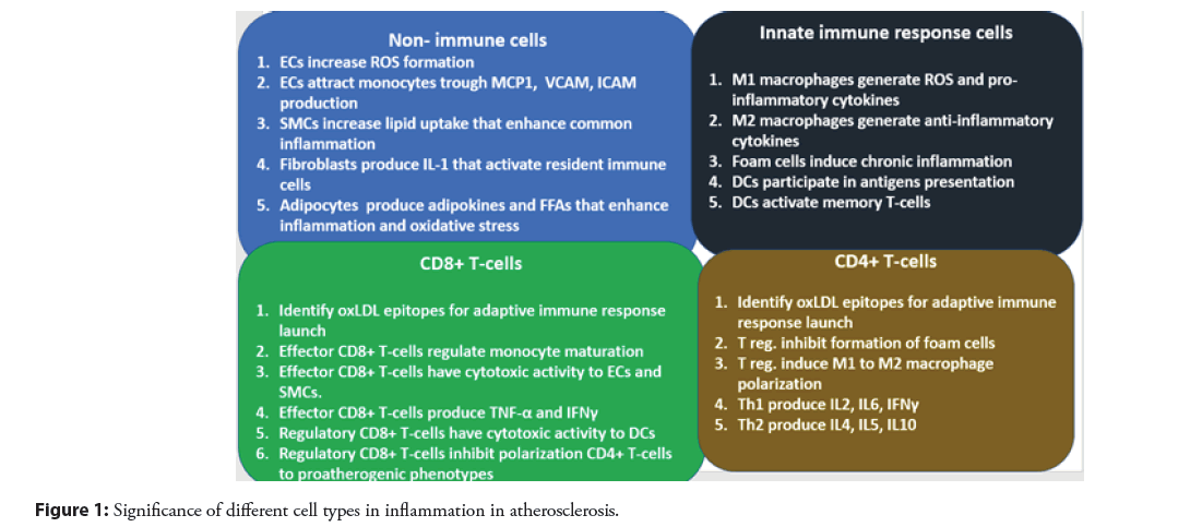 interventional-cardiology-inflammation