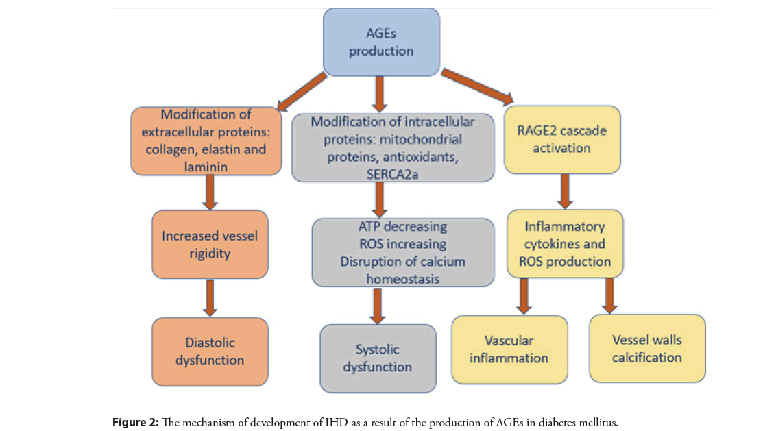 interventional-cardiology-mellitus