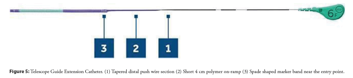 interventional-cardiology-polymer
