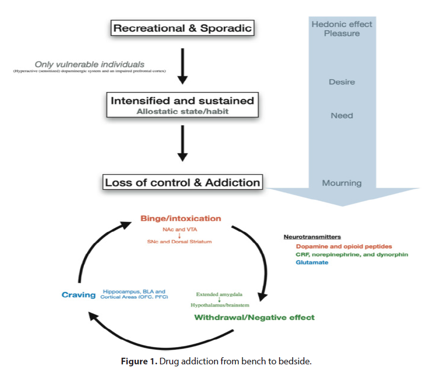 pharmaceutical-toxicology-addiction