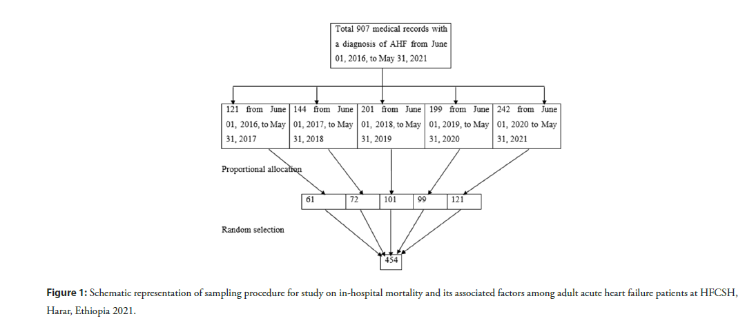 interventional-cardiolog-procedure
