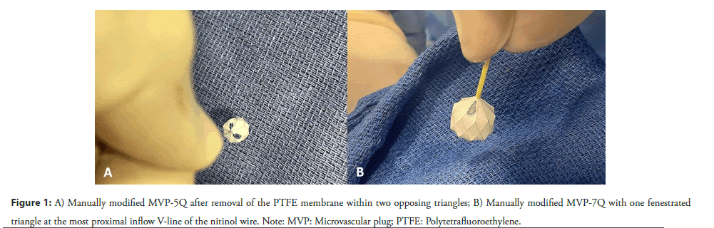 interventional-cardiology-membrane