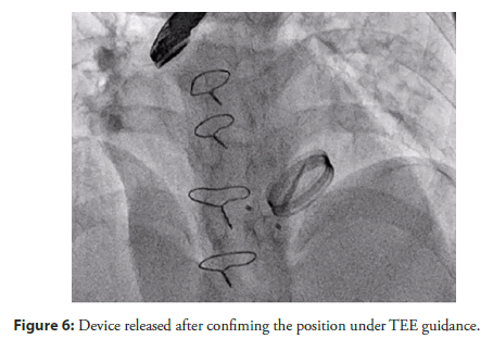 cardiology