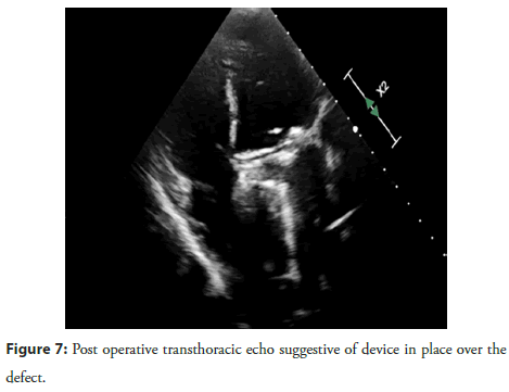 cardiology