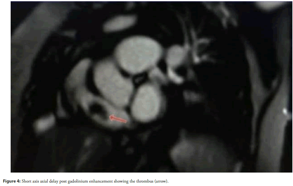 cardiology
