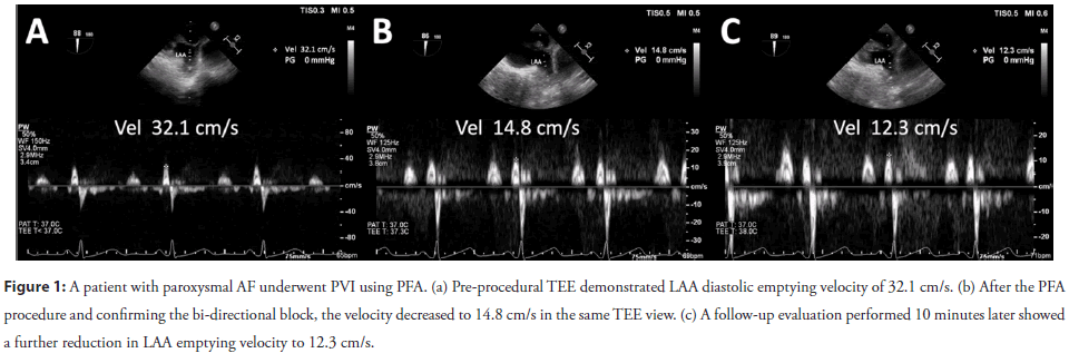 neuropsychiatry-Search-strategy-inclusion neuropsychiatry-Search-strategy-inclusion