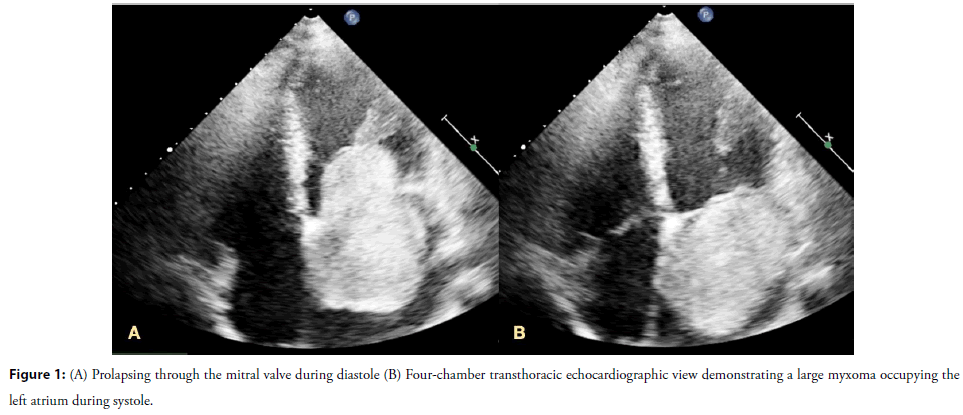 neuropsychiatry-Search-strategy-inclusion neuropsychiatry-Search-strategy-inclusion