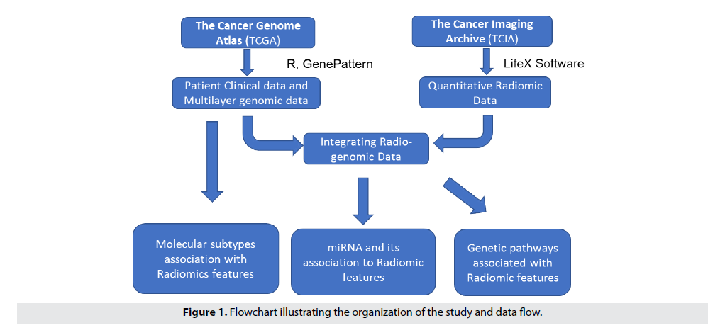 Imaging-Med-Flowchart-illustrating