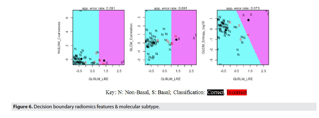 Imaging-Med-boundary-radiomics