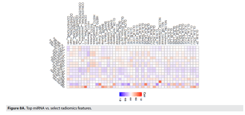 Imaging-Med-radiomics-features