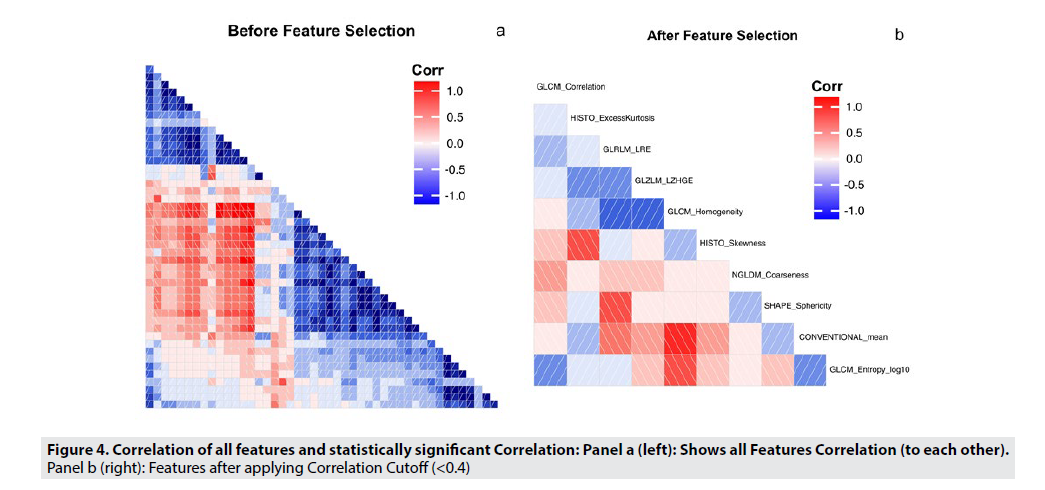 Imaging-Med-significant-Correlation
