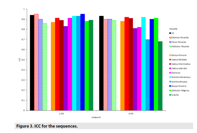 Intra-rater and Inter-rater Reliability of Quantitative Thigh Muscle