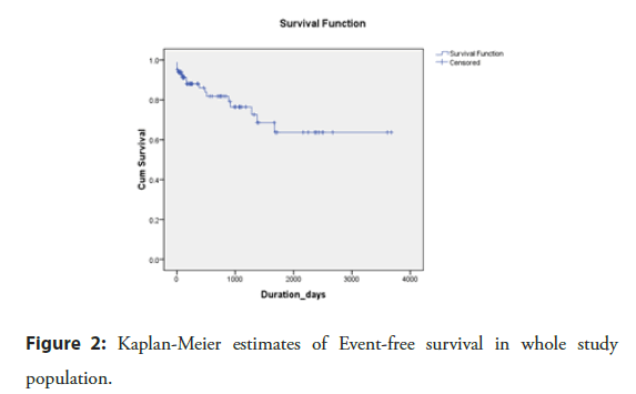 Interventional-Cardiology-estimates