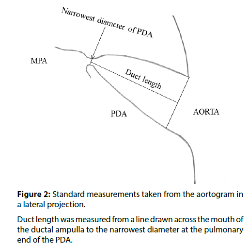 Interventional-Cardiology-measurements